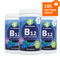B12 + B6 + Foolihappo, imeskeltävä (mustikka) 3 kpl PAKETTITARJOUS!